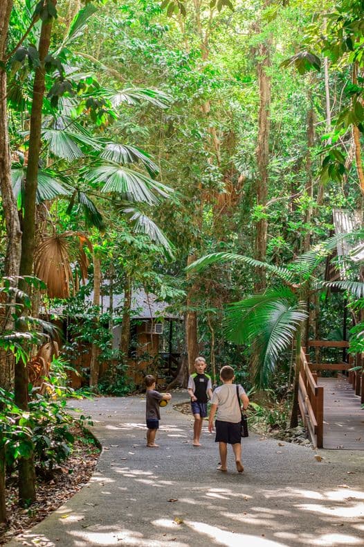 Rainforest
